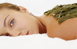 ��������� SPA-���� �� �����