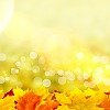 Золотые предложения ОСЕНИ: обновление, преображение, SPA-удовольствие! Золотые предложения ОСЕНИ: обновление, преображение, SPA-удовольствие!