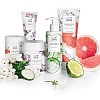 SPA-day «Безупречные ручки» SPA-day «Безупречные ручки»