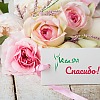 Дарим БОНУСЫ за отзыв! Дарим БОНУСЫ за отзыв!